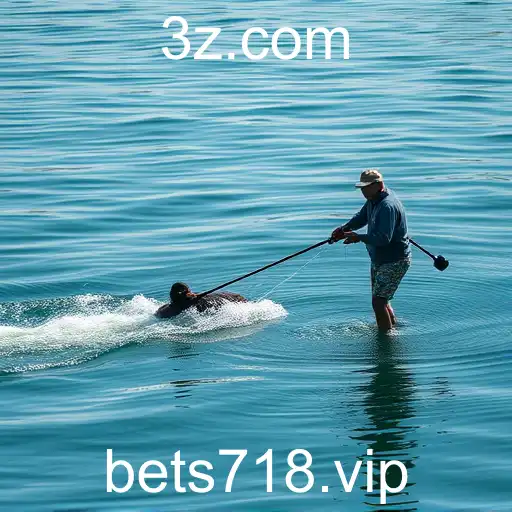 Security and Trust bet718 - International Licenses and Certifications